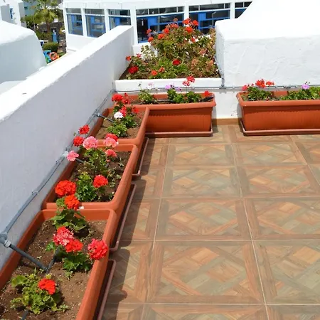 Apartment Las Americas Playa Fanabe Costa Adeje (Tenerife)